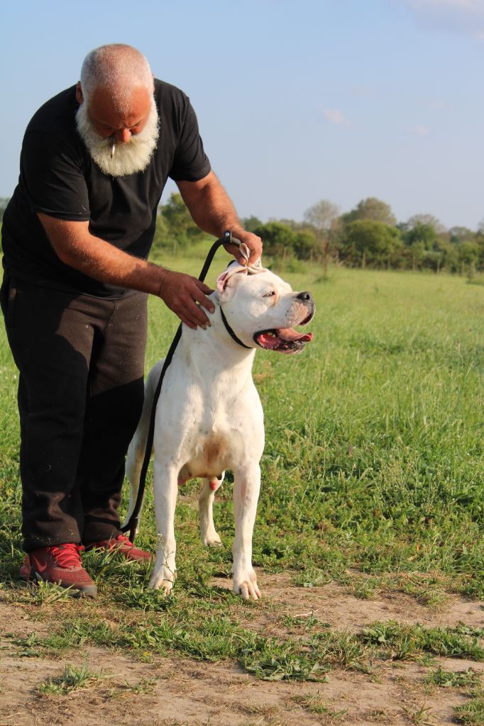 R.mapoucka del Sueno Latino