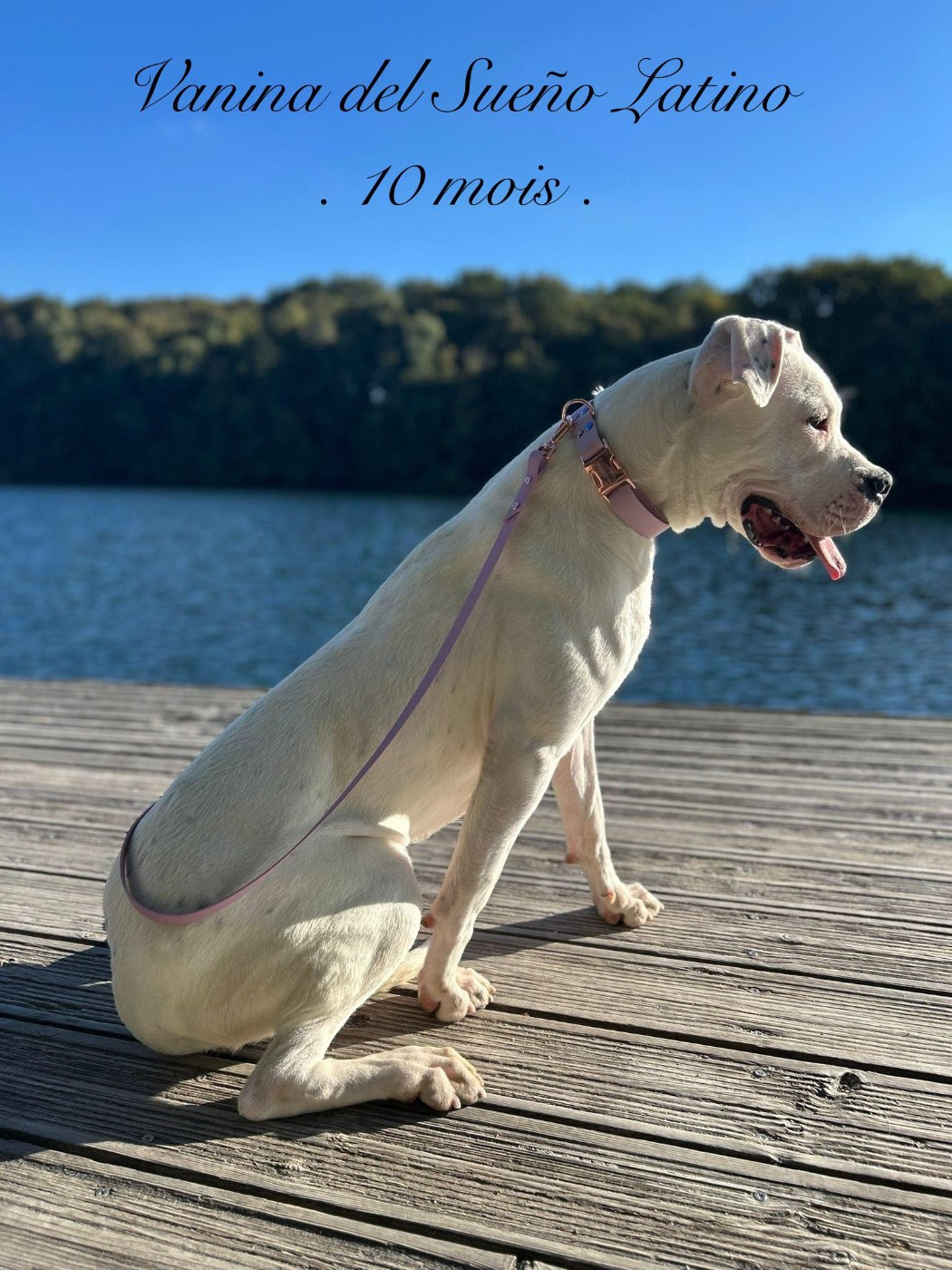 VANINA del Sueno Latino