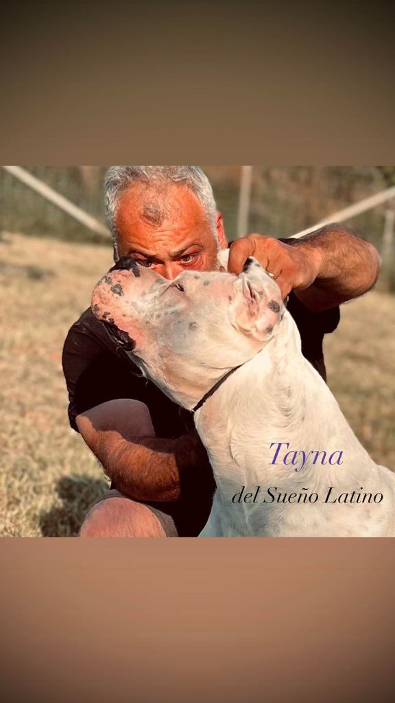 Tayna del Sueno Latino